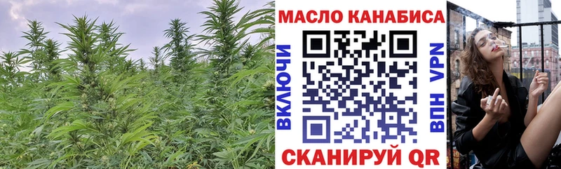блэк спрут вход  Куса  Дистиллят ТГК THC oil 