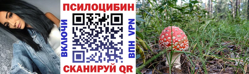Галлюциногенные грибы мухоморы  omg маркетплейс  нарко площадка формула  продажа наркотиков  Куса 